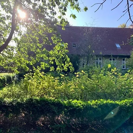 Idyllisches Nahe Ostsee Und Schlei